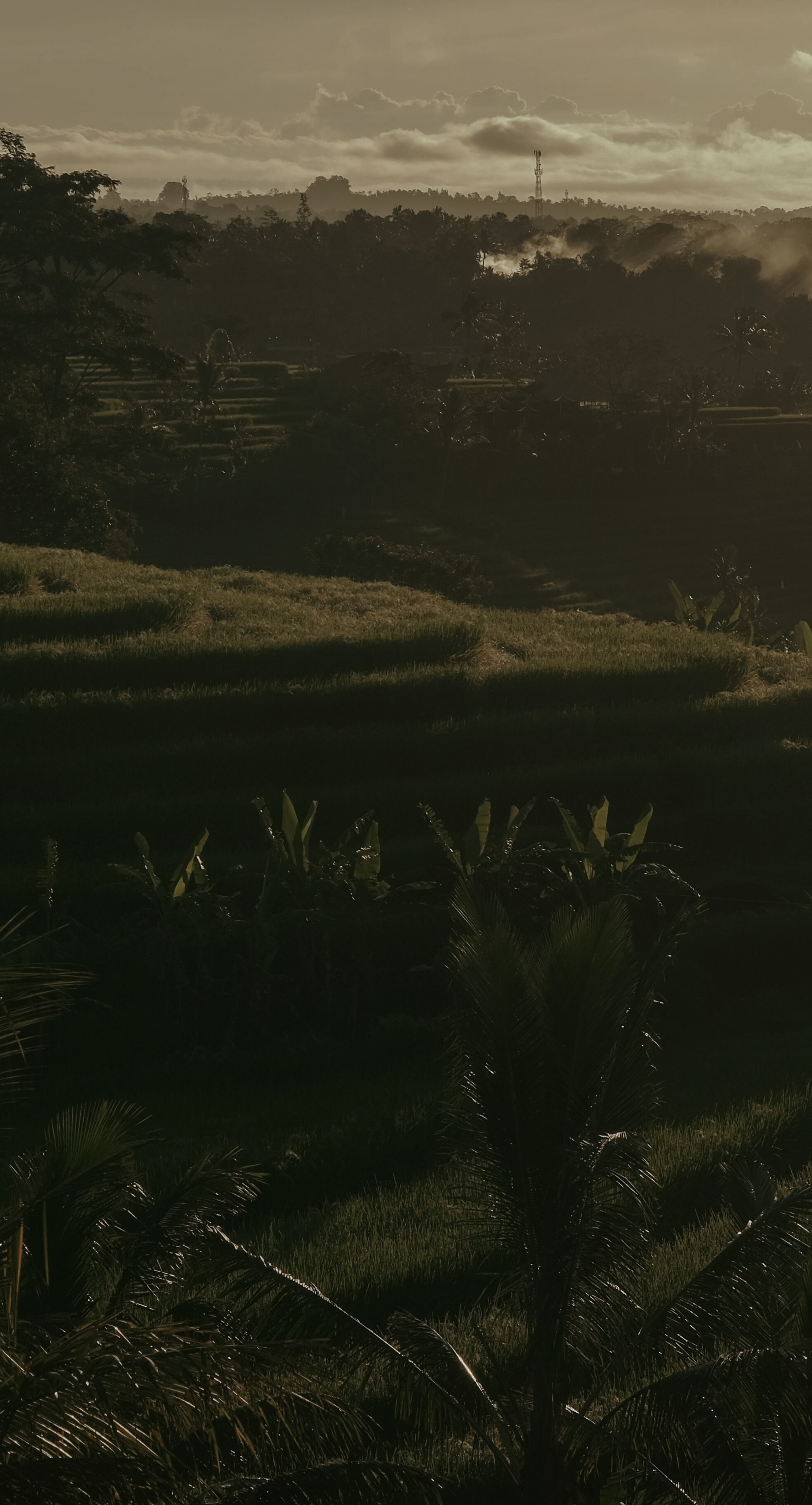 Train background mobile